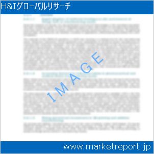 市場と産業調査レポートのイメージ